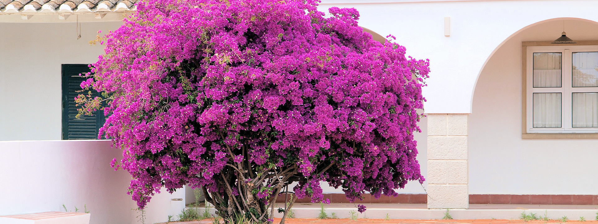 Create Without Limits